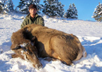 2011 Youth & Cow Elk Hunts
