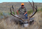 2011 Trophy Mule Deer Hunts
