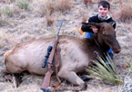 Youth Cow Elk Hunts & Cow Elk Hunts