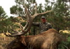 2017 Bull Elk Hunts