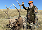 2023 Bull Elk Hunts